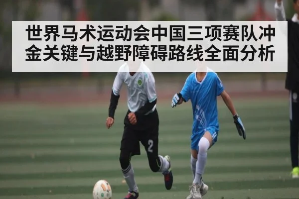 世界马术运动会中国三项赛队冲金关键与越野障碍路线全面分析
